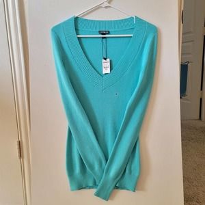 NWT Express Light Blue V-Neck Sweater